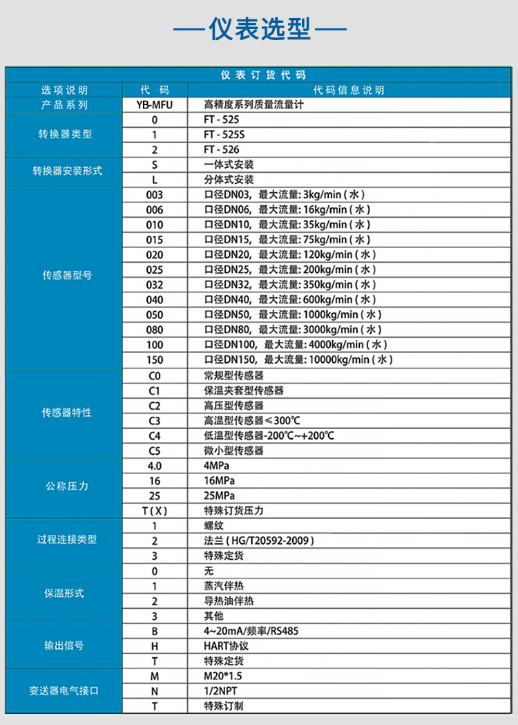 一體式質量流量計選項表