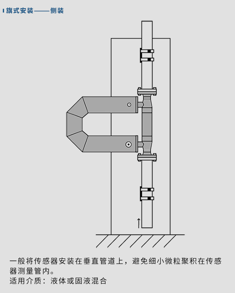 數(shù)顯質(zhì)量流量計垂直安裝示意圖